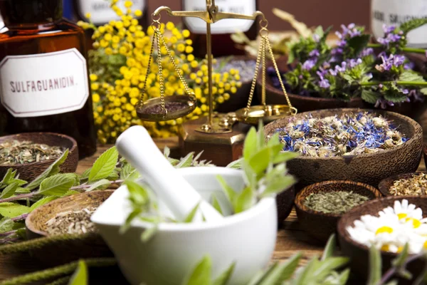 Torkade medicinska örter — Stockfoto