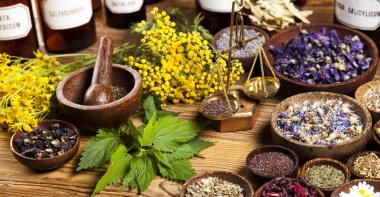 Fresh medicinal herbs clipart