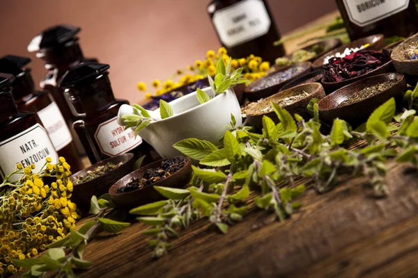 Plantas medicinales frescas — Foto de Stock