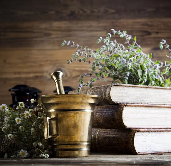 Medical herbs with mortar — Stock Photo, Image