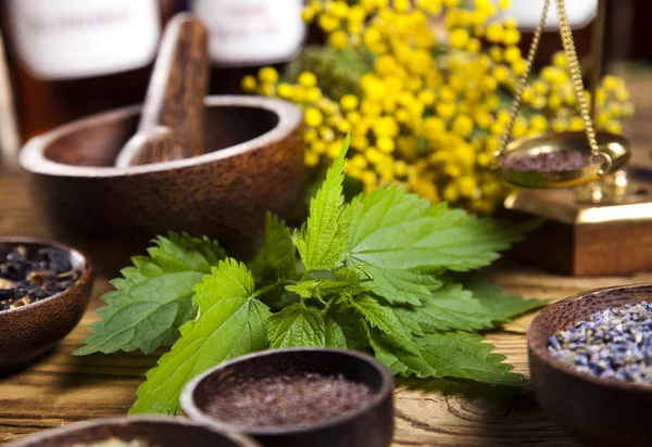 Medical herbs — Stock Photo, Image