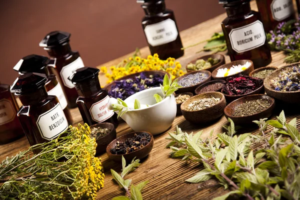 Medical herbs and mortar — Stock Photo, Image