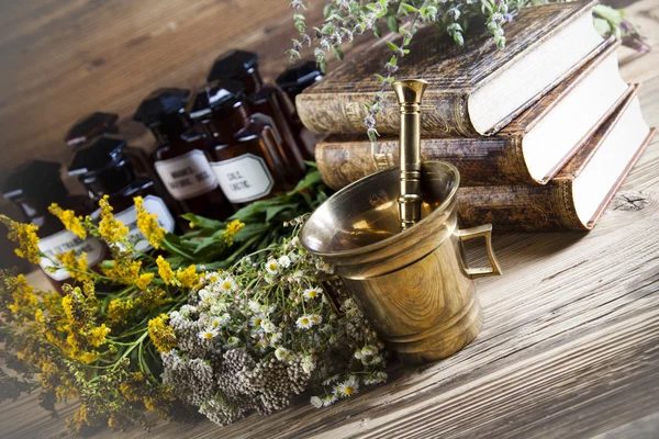Medical herbs and mortar — Stock Photo, Image