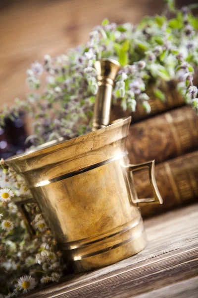 Medical herbs with mortar — Stock Photo, Image