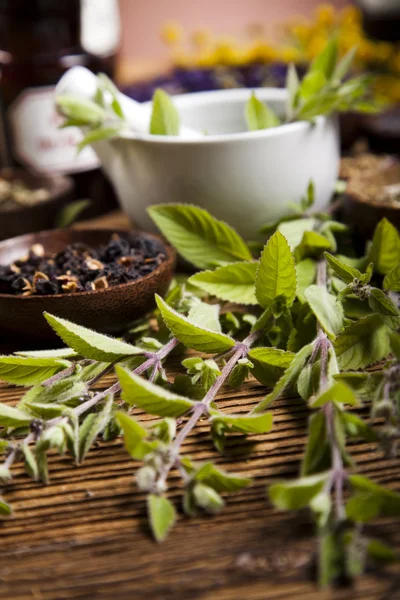 Natuurlijke remedie en mortel — Stockfoto