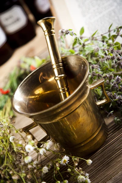 Natural medicine, herbs, mortar — Stock Photo, Image