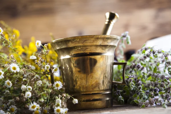 Medical herbs and mortar — Stock Photo, Image