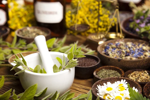 Natural medicine, herbs, mortar — Stock Photo, Image