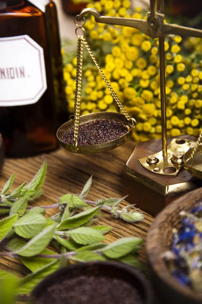 Medicinal herbs — Stock Photo, Image