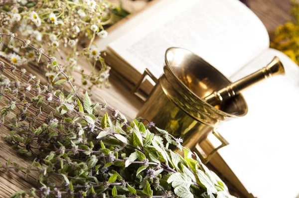 Medicina herbal y libro — Foto de Stock