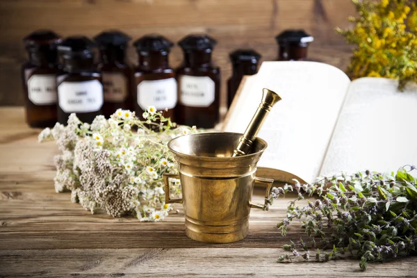 Frische Heilkräuter — Stockfoto