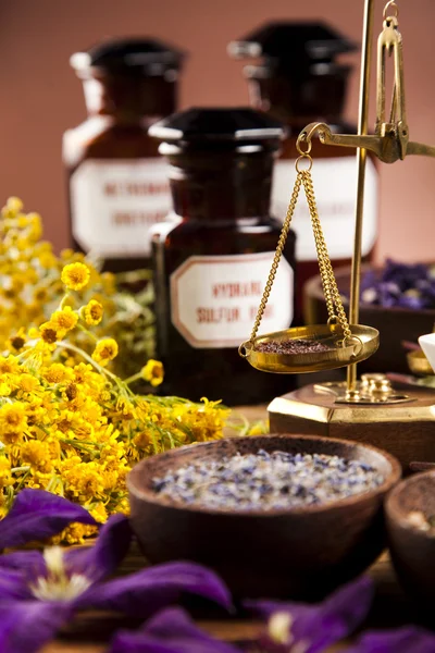 Medical herbs and scales — Stock Photo, Image