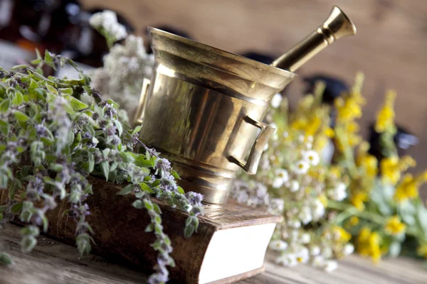 Medical herbs with mortar — Stock Photo, Image