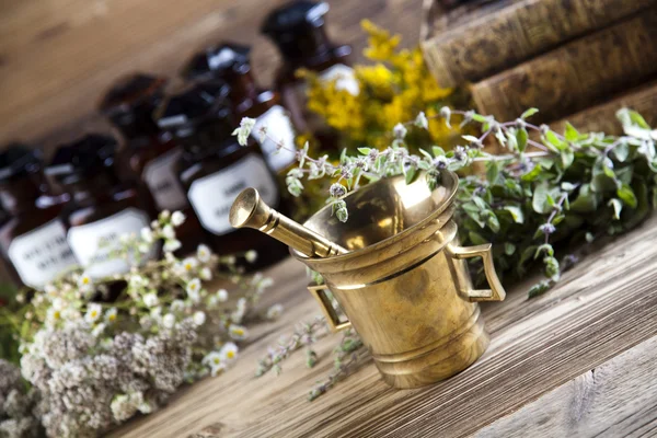 Medical bottles, herbs with mortar — Stock Photo, Image