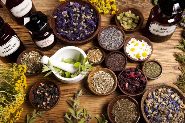 Medical herbs, bottles and mortar — Stock Photo, Image