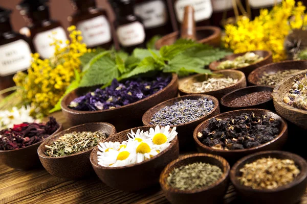 Dried medical herbs — Stock Photo, Image