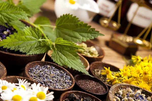 Herbs medicine — Stock Photo, Image