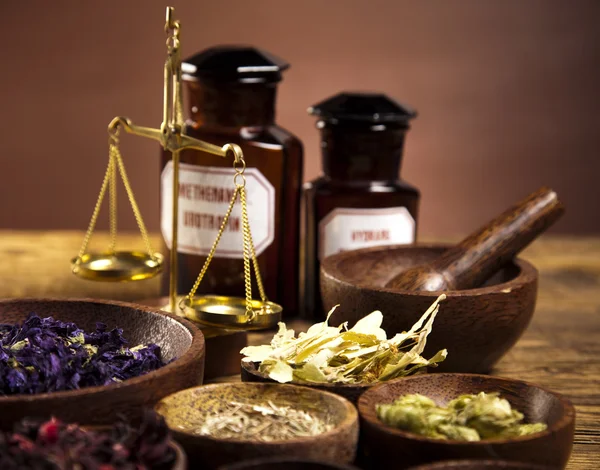 Alternative medicine, dried herbs — Stock Photo, Image