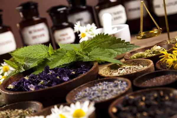 Dried medical herbs — Stock Photo, Image