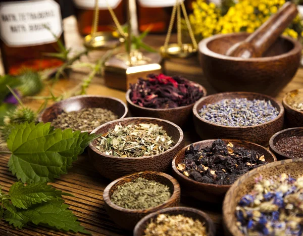 Alternative medicine, dried herbs — Stock Photo, Image