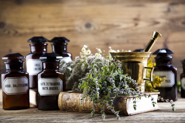 Herbal medicine and book — Stock Photo, Image