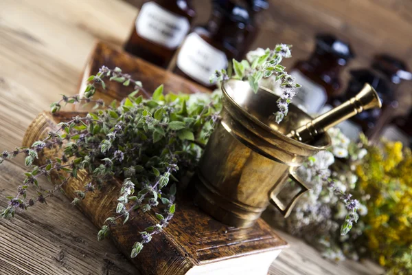 Herbal medicine and book — Stock Photo, Image