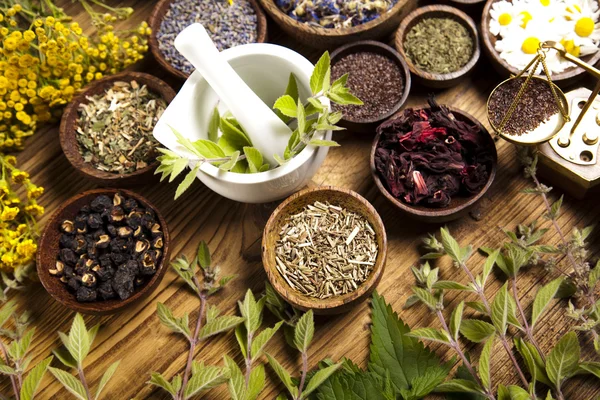 Medical herbs — Stock Photo, Image