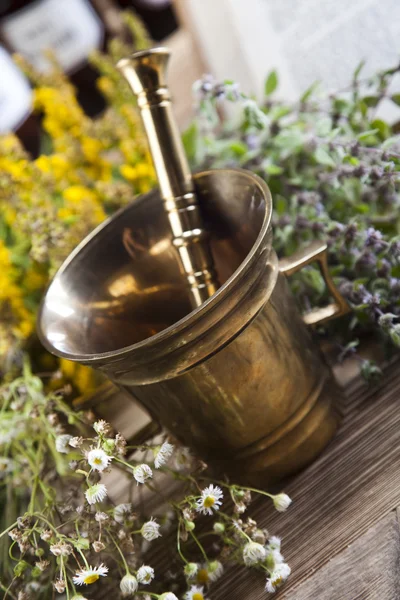 Herbal medicine and book — Stock Photo, Image