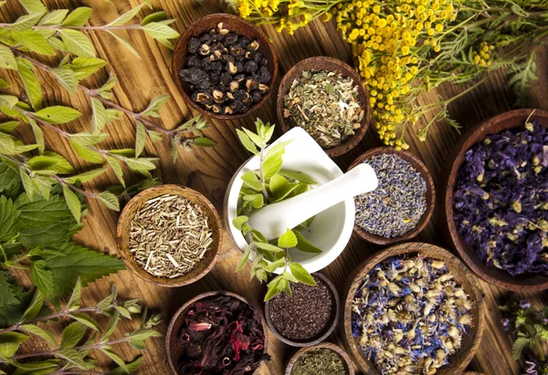 Medical herbs — Stock Photo, Image