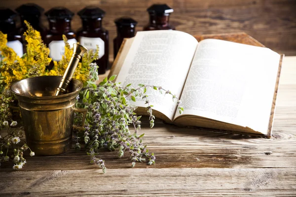 Medicina herbal e livro — Fotografia de Stock