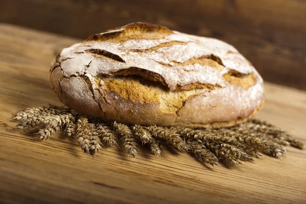 구운된 빵과 밀 씨앗 — 스톡 사진