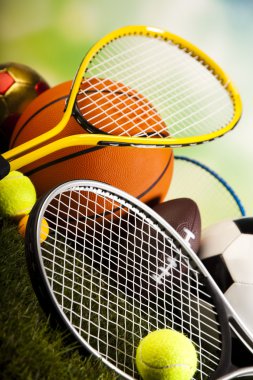 Spor Topları