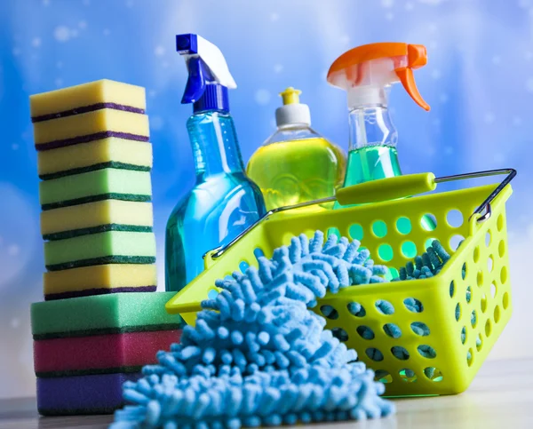 Grupo de produtos de limpeza — Fotografia de Stock