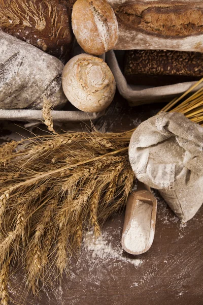 Vers gebakken brood — Stockfoto