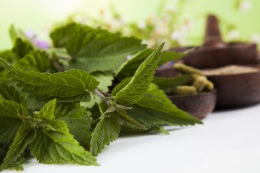 Çeşitli tıbbi tedavi edici otlar