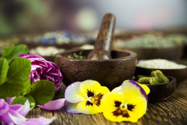 Çeşitli tıbbi tedavi edici otlar