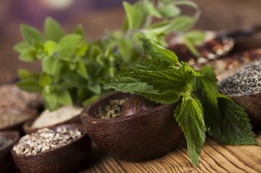 Çeşitli tıbbi tedavi edici otlar