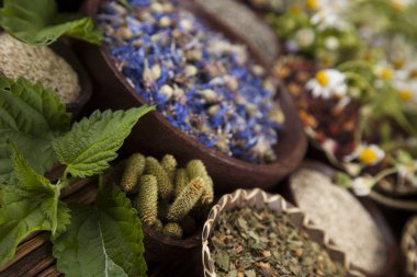 Çeşitli tıbbi tedavi edici otlar