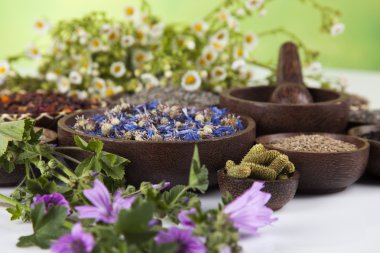 Çeşitli tıbbi tedavi edici otlar