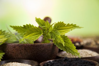 Çeşitli tıbbi tedavi edici otlar