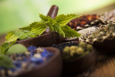 Çeşitli tıbbi tedavi edici otlar