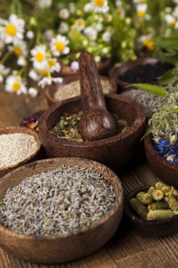 Çeşitli tıbbi tedavi edici otlar