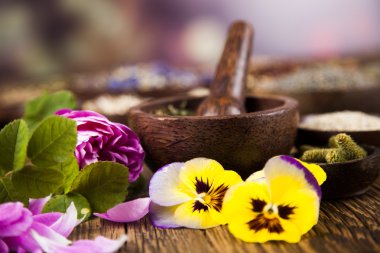 Çeşitli tıbbi tedavi edici otlar