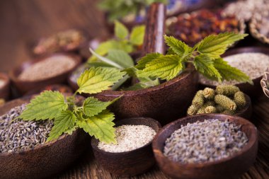 Çeşitli tıbbi tedavi edici otlar