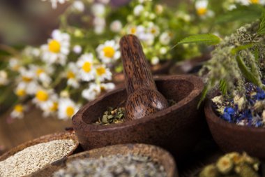 Çeşitli tıbbi tedavi edici otlar
