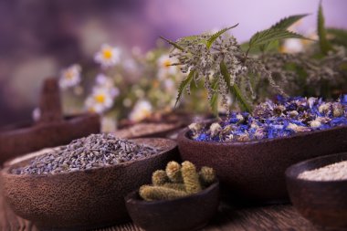 Çeşitli tıbbi tedavi edici otlar