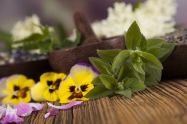 Çeşitli tıbbi tedavi edici otlar
