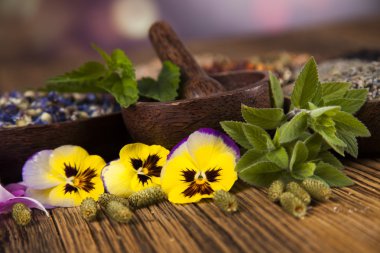 Çeşitli tıbbi tedavi edici otlar