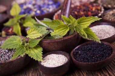 Çeşitli tıbbi tedavi edici otlar