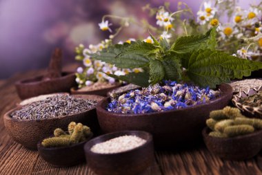 Çeşitli tıbbi tedavi edici otlar